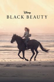 Black Beauty แบล็คบิวตี้ พากย์ไทย