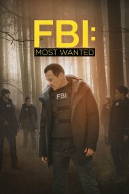FBI Most Wanted Season 2 เอฟบีไอ หน่วยล่าบัญชีทรชน ปี 2 พากย์ไทย
