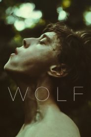 Wolf ซับไทย