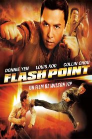 Flash Point ลุยบ้าเลือด พากย์ไทย