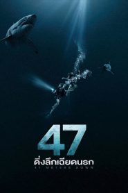 47 Meters Down 47 ดิ่งลึกเฉียดนรก พากย์ไทย