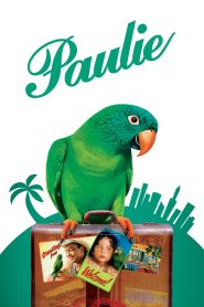 Paulie พอลลี่ นกอะไร้…ร…ร พูดได้ไม่มีเบรค พากย์ไทย