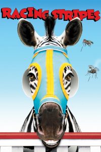 Racing Stripes ม้าลายหัวใจเร็วจี๊ดด พากย์ไทย