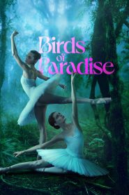 Birds of Paradise ปักษาสวรรค์ ซับไทย