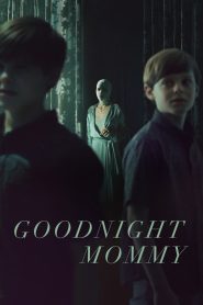 Goodnight Mommy แม่ครับ หลับซะเถอะ ซับไทย