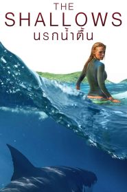 The Shallows นรกน้ำตื้น พากย์ไทย