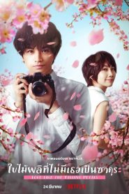 Love Like the Falling Petals ใบไม้ผลิที่ไม่มีเธอเป็นซากุระ พากย์ไทย