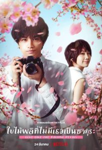 Love Like the Falling Petals ใบไม้ผลิที่ไม่มีเธอเป็นซากุระ พากย์ไทย