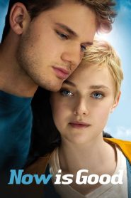 Now Is Good ขอบคุณวันนี้ที่เรายังมีเรา พากย์ไทย