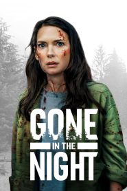 Gone in the Night หายไปในราตรี ซับไทย