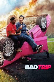 Bad Trip ทริปป่วนคู่อำ พากย์ไทย