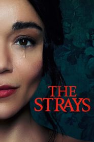 The Strays คนหลงทาง พากย์ไทย