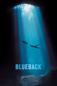 Blueback บลูกลับมา ซับไทย