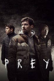 Prey เหยื่อ ซับไทย