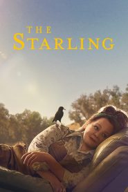 The Starling เดอะ สตาร์ลิง ซับไทย