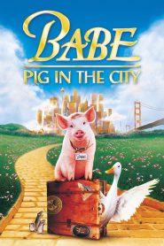BABE 2 PIG IN THE CITY เบ๊บ หมูน้อยหัวใจเทวดา ภาค 2 พากย์ไทย