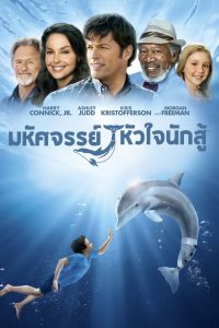 Dolphin Tale 1 มหัศจรรย์โลมาหัวใจนักสู้ 1 พากย์ไทย