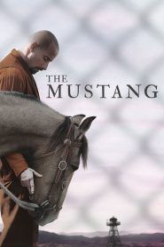 The Mustang ม้าป่าแสนพยศ พากย์ไทย