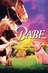 BABE เบ๊บ หมูน้อยหัวใจเทวดา ภาค1 พากย์ไทย