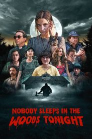 Nobody Sleeps in the Woods Tonight คืนผวาป่าไร้เงา ซับไทย