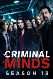 Criminal Minds Season 13 ทีมแกร่งเด็ดขั้วอาชญากรรม ปี 13 พากย์ไทย