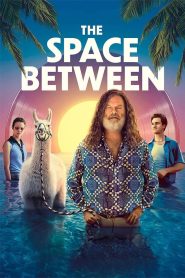 The Space Between ซับไทย