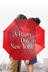 A Rainy Day in New York วันฝนตกในนิวยอร์ก พากย์ไทย