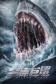 Killer Shark ฉลามคลั่ง ทะเลมรณะ ซับไทย