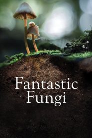 Fantastic Fungi เห็ดมหัศจรรย์ พากย์ไทย