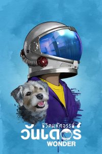 Wonder ชีวิตมหัศจรรย์วันเดอร์ พากย์ไทย
