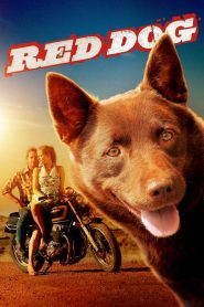 Red Dog เพื่อนซี้ หัวใจหยุดโลก พากย์ไทย