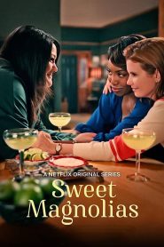 Sweet Magnolias สวีท แมกโนเลีย หวาน กร้าว แกร่ง ซับไทย