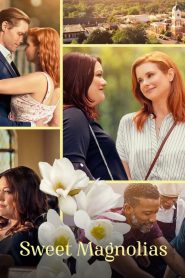 Sweet Magnolias Season 2 สวีท แมกโนเลีย หวาน กร้าว แกร่ง ปี 2 ซับไทย 