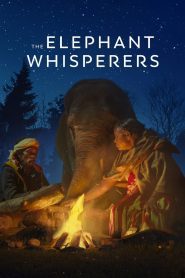 The Elephant Whisperers คนกล่อมช้าง พากย์ไทย