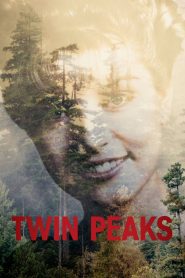 Twin Peaks เมืองดิบคนดุ ซับไทย