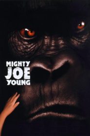 Mighty Joe Young ไมตี้ โจ ยัง สัญชาตญาณป่า ล่าถล่มเมือง พากย์ไทย