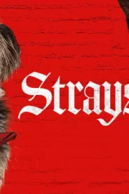 Strays ชีวิตหมาต้องไม่หมา ซับไทย