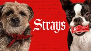 Strays ชีวิตหมาต้องไม่หมา ซับไทย