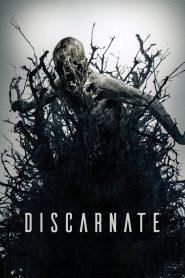 Discarnate ดิสคาร์เนต สื่อวิญญาณสยอง พากย์ไทย