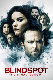 Blindspot Season 5 สาวรอยสัก กับดักมรณะ ปี 5 พากย์ไทย