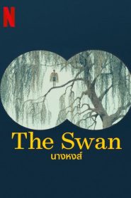 The Swan นางหงส์ พากย์ไทย