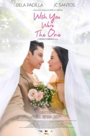 Wish You Were The One อยากให้เธอเป็นคนนั้น ซับไทย