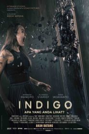 Indigo เธอเห็นอะไร ซับไทย