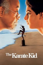 The Karate Kid คิด คิด ต้องสู้ พากย์ไทย