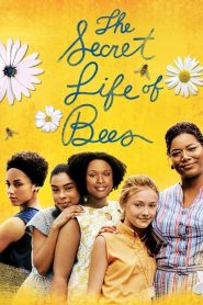 The Secret Life of Bees สูตรรักรสน้ำผึ้ง พากย์ไทย