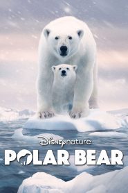 Polar Bear พากย์ไทย