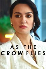 As the Crow Flies Season 3 ดั่งอีกาโผบิน ปี 3 ซับไทย