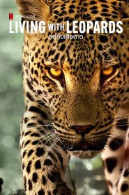 Living with Leopards อยู่กับเสือดาว ซับไทย