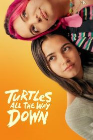 Turtles All the Way Down กลเกลียวสุดห้วงกาล ซับไทย