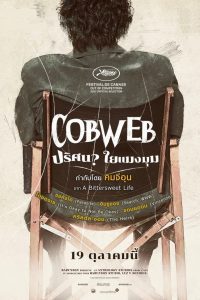 Cobweb ปริศนาใยแมงมุม ซับไทย